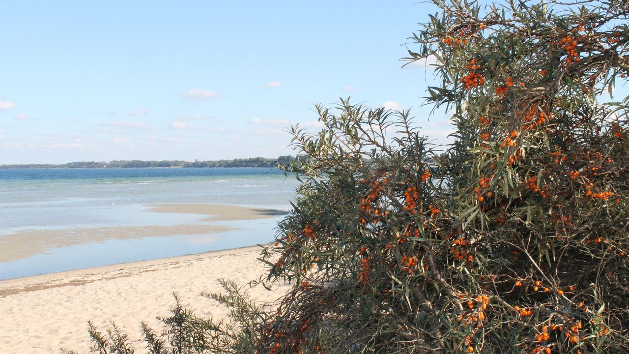 AreaSummer5KM AreaSummer5KM